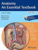 Anatomy - An Essential Textbook (Thieme Illustrated Reviews)